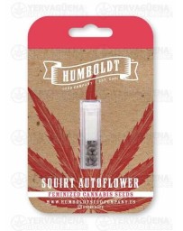 Squirt Auto - Humboldt Seed Company