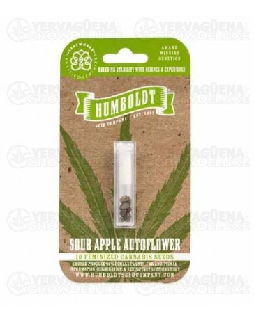 Sour Apple Auto - Humboldt Seed Company