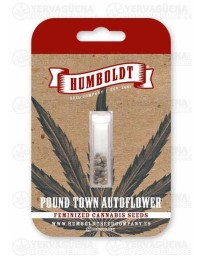 Pound Town Auto - Humboldt Seed Company