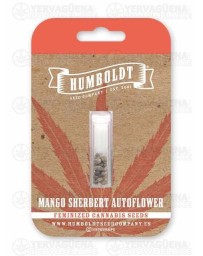 Mango Sherbert Auto - Humboldt Seed Company