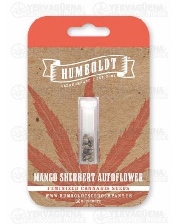 Mango Sherbert Auto - Humboldt Seed Company