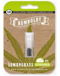 Lemongrass Auto - Humboldt Seed Company
