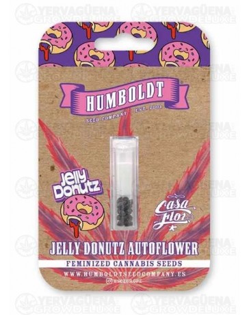 Jelly Donutz Auto - Humboldt Seed Company