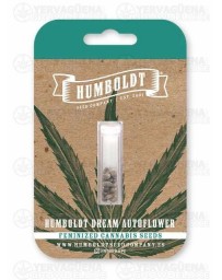Humboldt Dream Auto - Humboldt Seed Company
