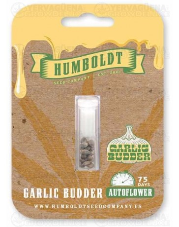 Garlic Budder Auto - Humboldt Seed Company