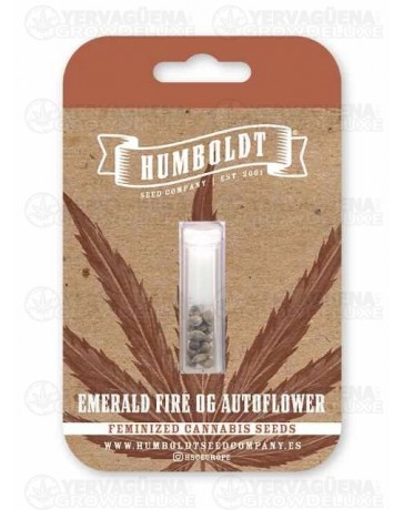 Emerald Fire OG Auto - Humboldt Seed Company
