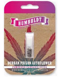 Durban Poison Auto - Humboldt Seed Company