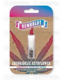 Chunkadelic Auto - Humboldt Seed Company