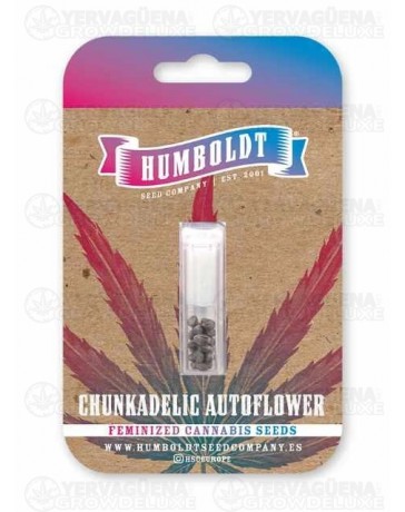 Chunkadelic Auto - Humboldt Seed Company