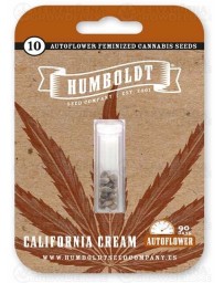 California Cream Auto - Humboldt Seed Company