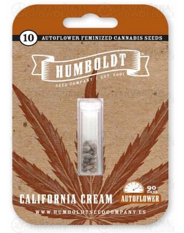 California Cream Auto - Humboldt Seed Company