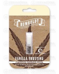 Vanilla Frosting - Humboldt Seed Company