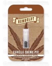 Vanilla Créme Pie - Humboldt Seed Company