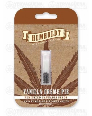 Vanilla Créme Pie - Humboldt Seed Company