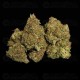 Quantum Terp F1 - Royal Queen Seeds