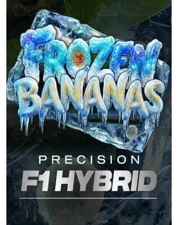 Frozen Bananas F1 - Barney's Farm