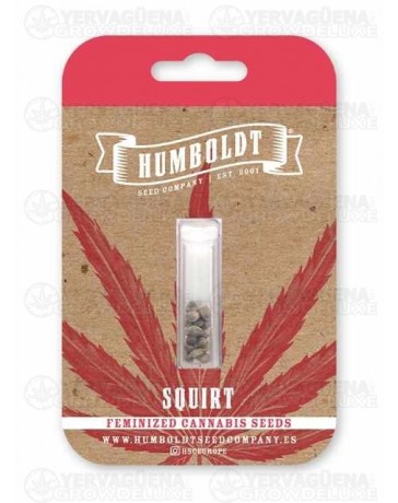 Squirt - Humboldt Seed Company