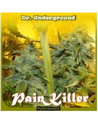 Pain Killer Dr. Underground