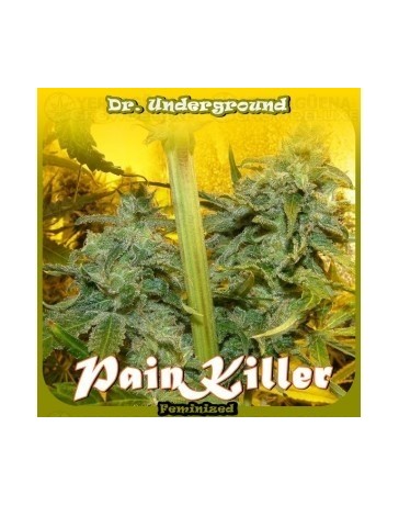 Pain Killer Dr. Underground