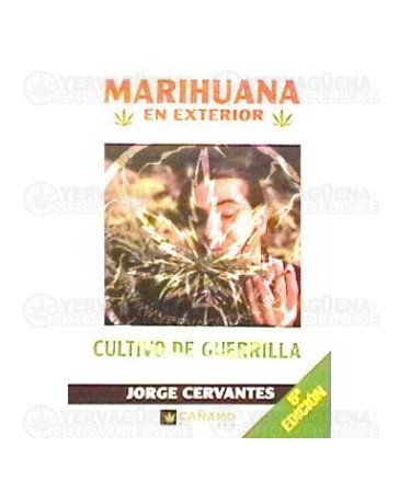 Marihuana en exterior, cultivo de guerrilla