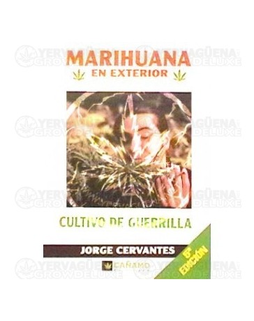Marihuana en exterior, cultivo de guerrilla