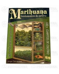 Marihuana, fundamentos del cultivo