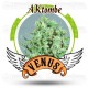 AKtombe Venus Genetics