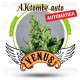 AKtombe Venus Genetics autofloreciente