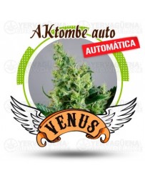 AKtombe Venus Genetics autofloreciente