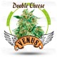 Double Cheese Venus Genetics