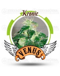 Kronic Venus Genetics