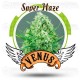 Super Haze Venus Genetics