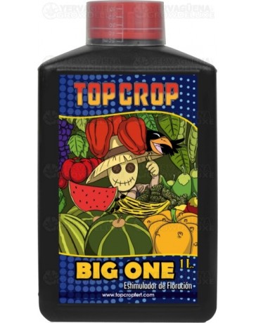 Big One Top Crop