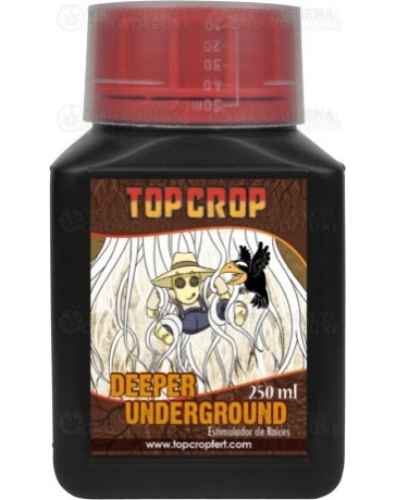 Deeper Underground Top Crop