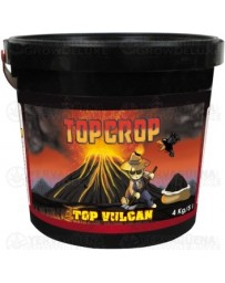 Top Vulcan Top Crop