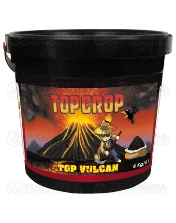 Top Vulcan Top Crop