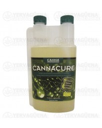 Cannacure Canna