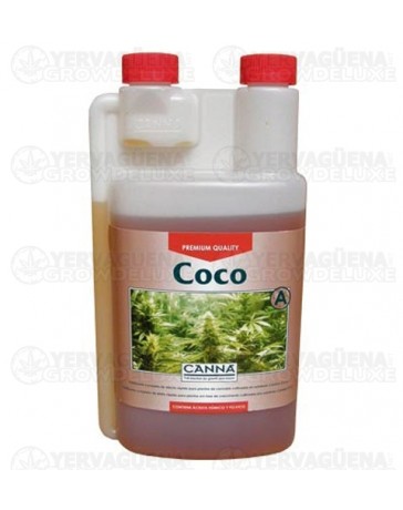 Coco A Canna