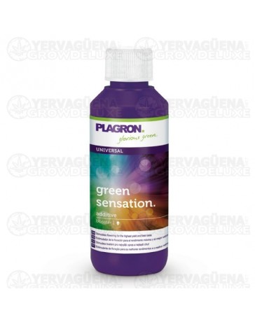 Green Sensation Plagron