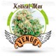 Kritical Max auto Venus Genetics