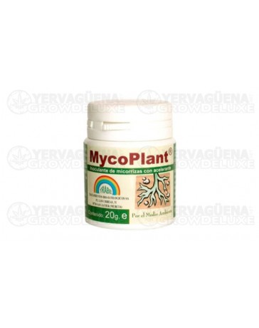 MycoPlant Micorrizas Trabe