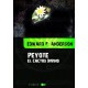 Peyote, el cactus divino