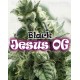 Black Jesus OG Dr. Underground