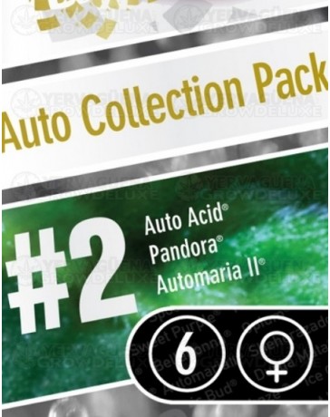 Auto Collection pack #2 Paradise Seeds autofloreciente