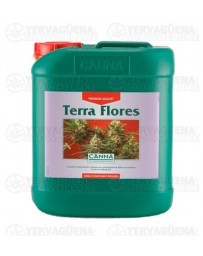 Terra Flores Canna garrafa