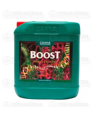 CannaBoost Canna garrafa