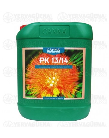 PK 13-14 Canna garrafa