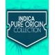 Indica Pure Origin Collection World of Seeds