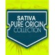 Sativa Pure Origin Collection World of Seeds