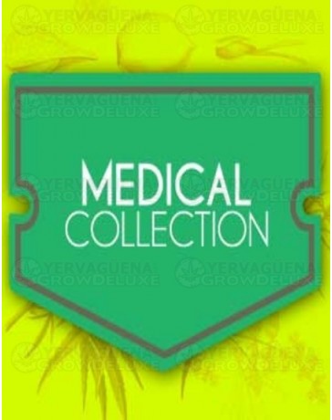 Medical Collection World of Seeds